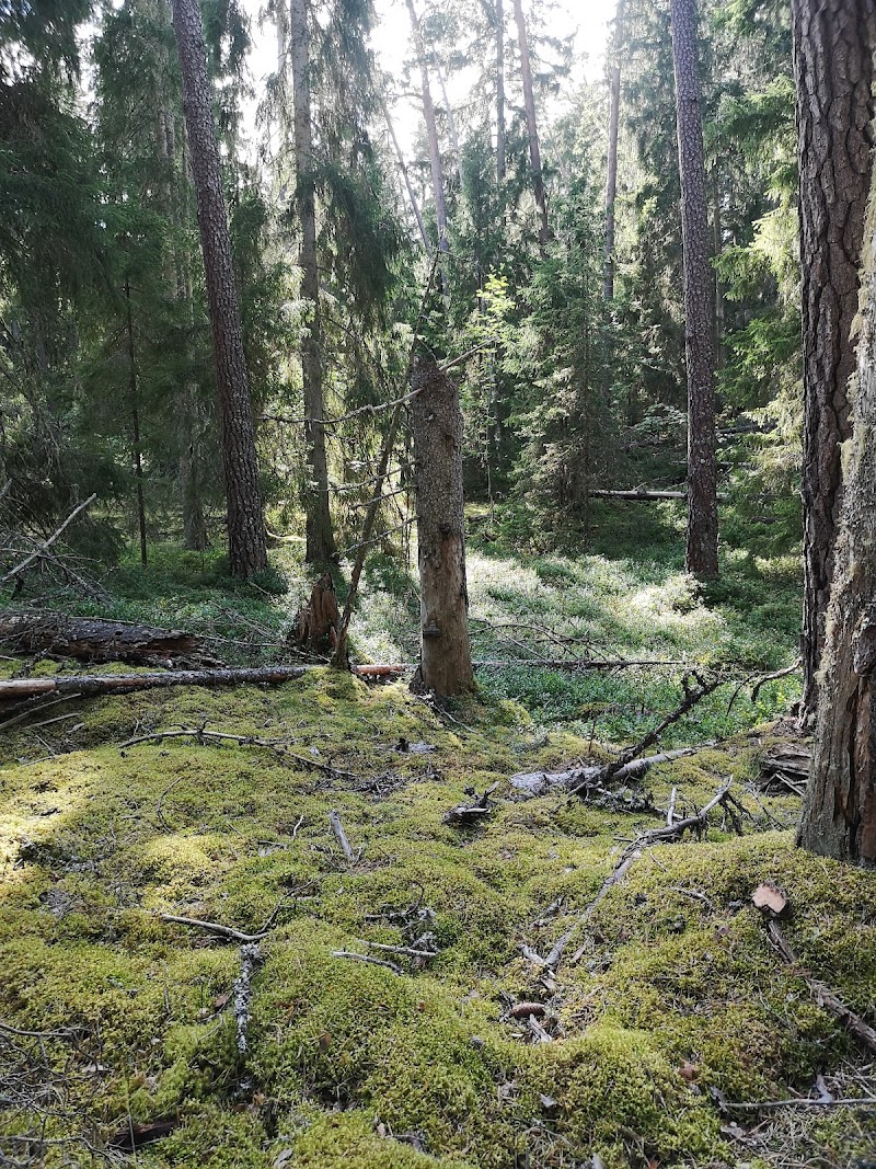 Bottnaryds urskog