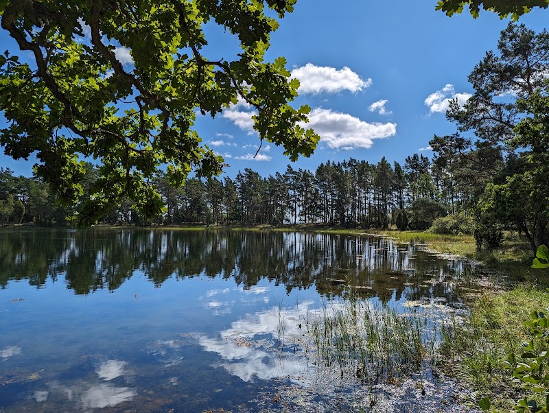 Lövö naturreservat