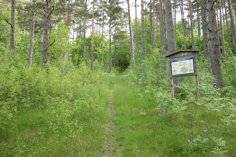 Ängs naturreservat