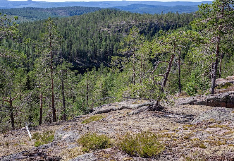 Abborrtjärnhuvudena