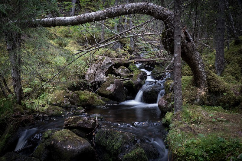 Ribbåsbäckens vattenfall
