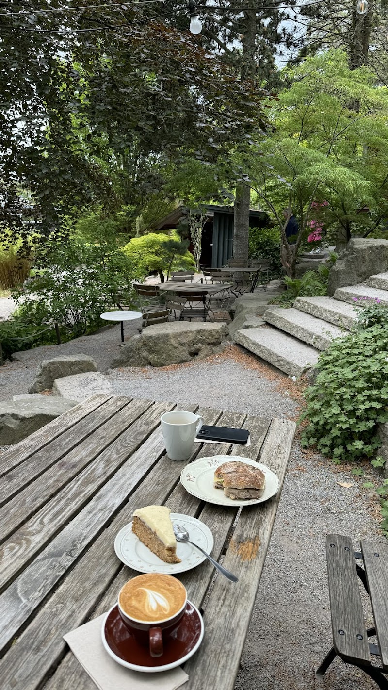 Zetas café