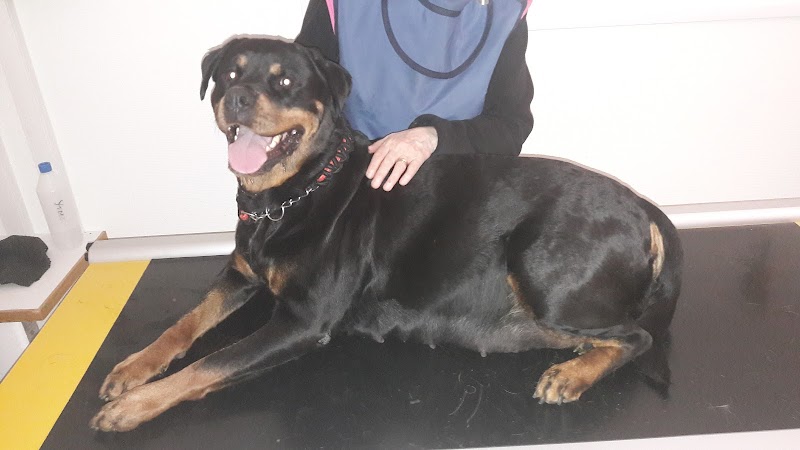 Delsbo Veterinärpraktik