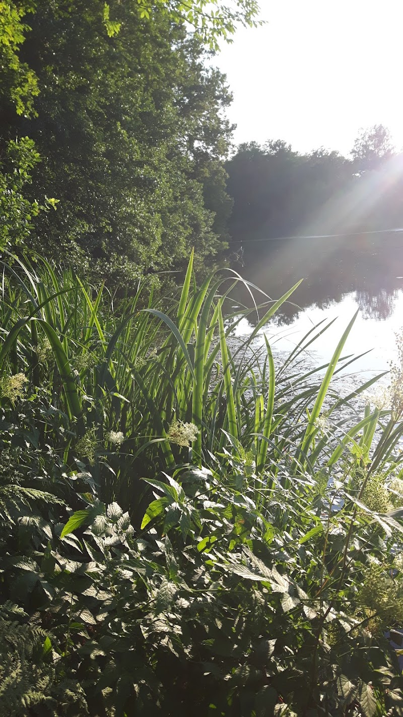 Älholmens Gamla Park