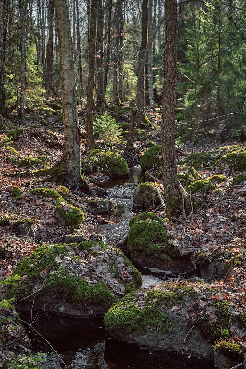 Pieboda naturreservat
