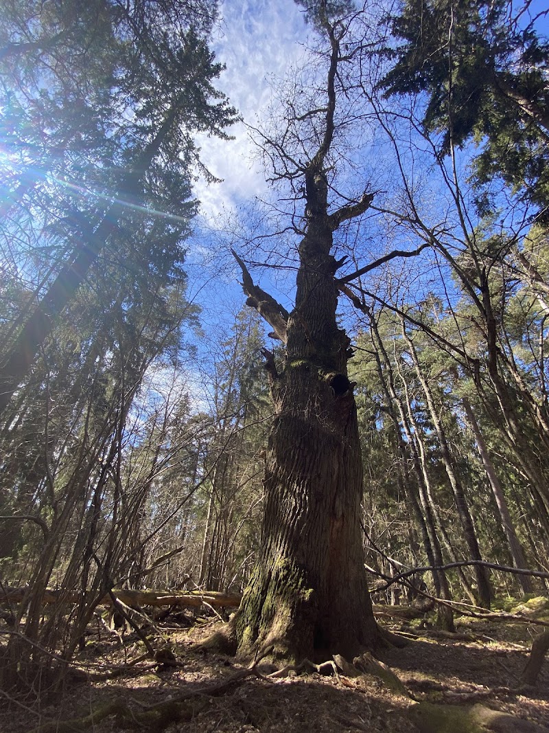 Torsholmen Nature preserve