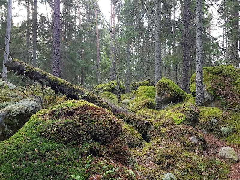 Ravinen
