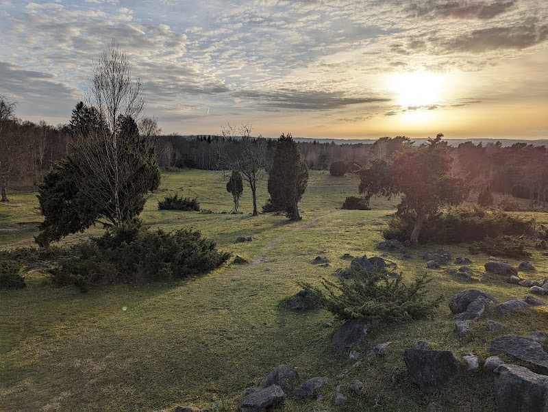Navröd