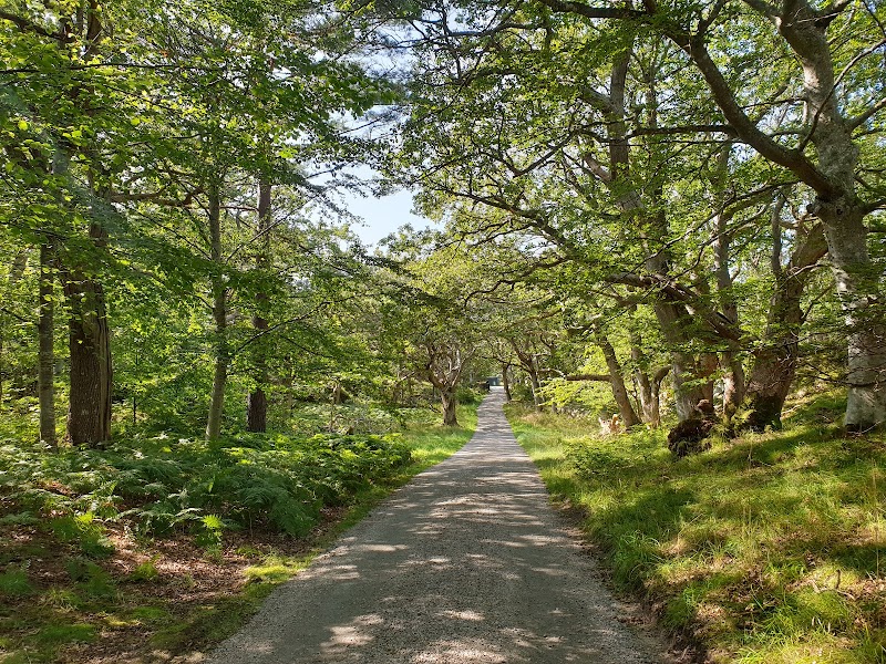 Rosenlund Naturreservat