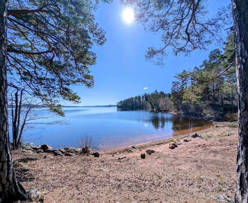 Romanäs naturreservat