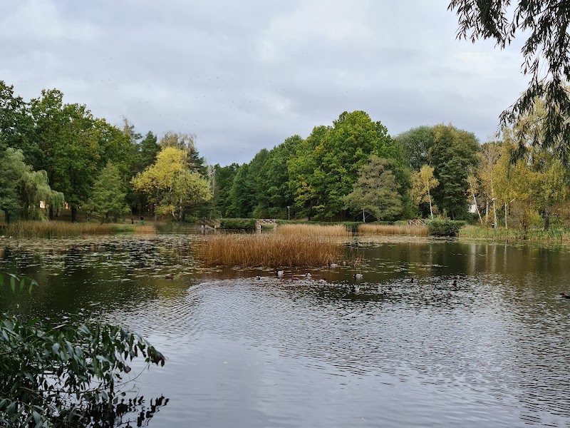 Svartegöl