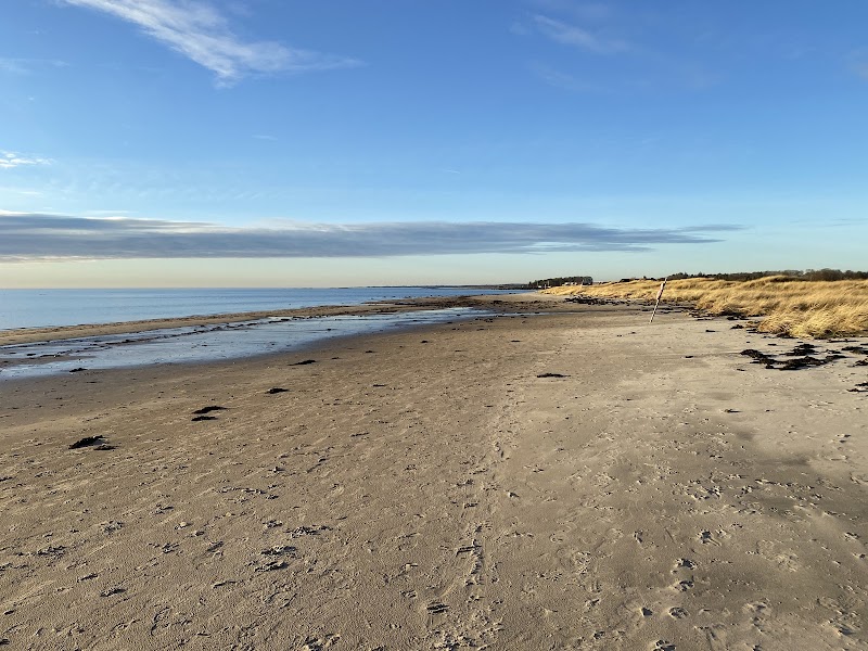 Stora Hults strand