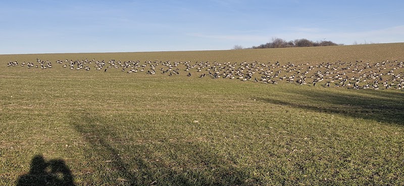 Kristinebergsparken