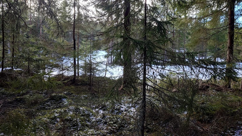Morkullberget