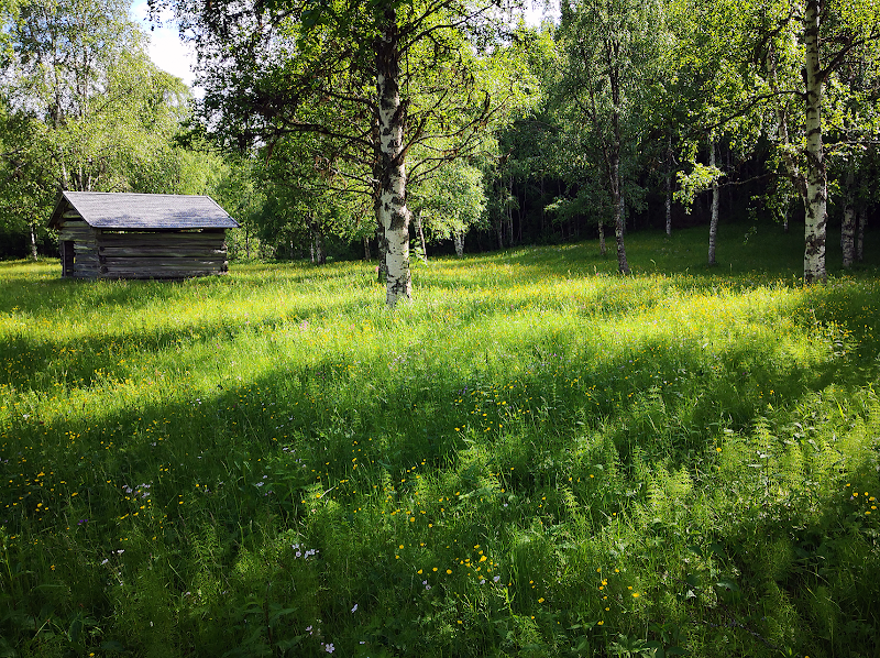 Lagnäset