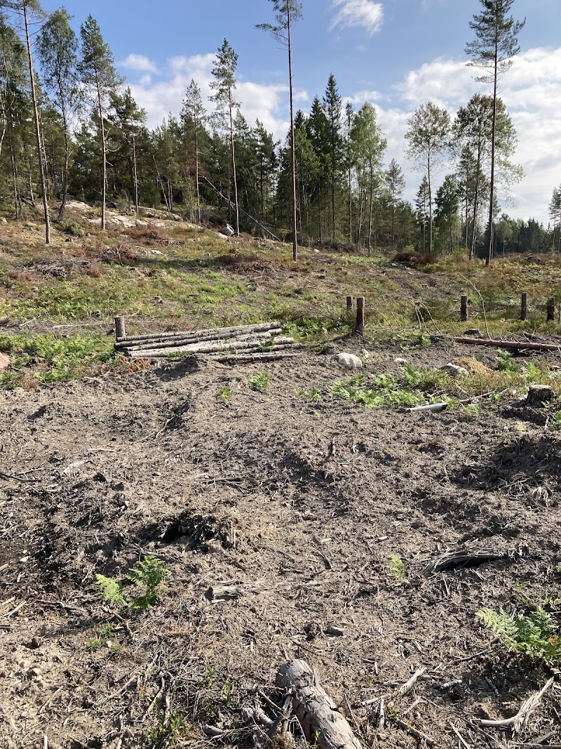 Björkviksmossens naturreservat