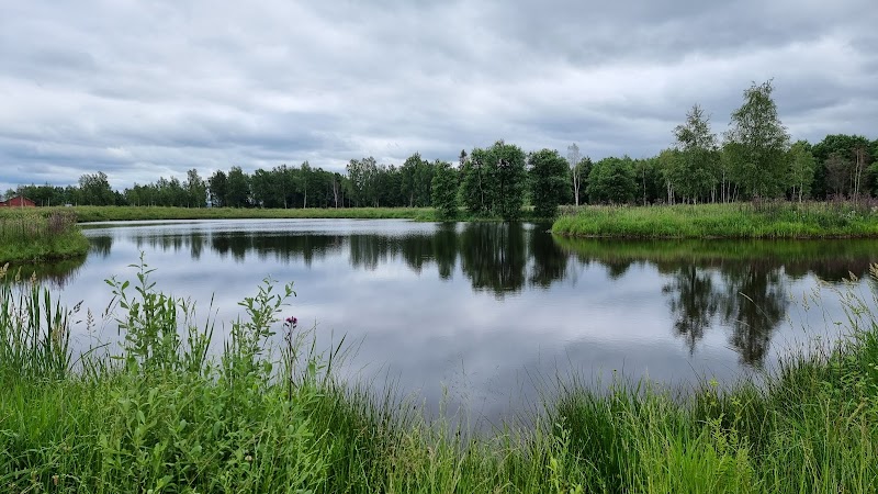 Våtmark lindbomossen (Askersund Sjöpark)