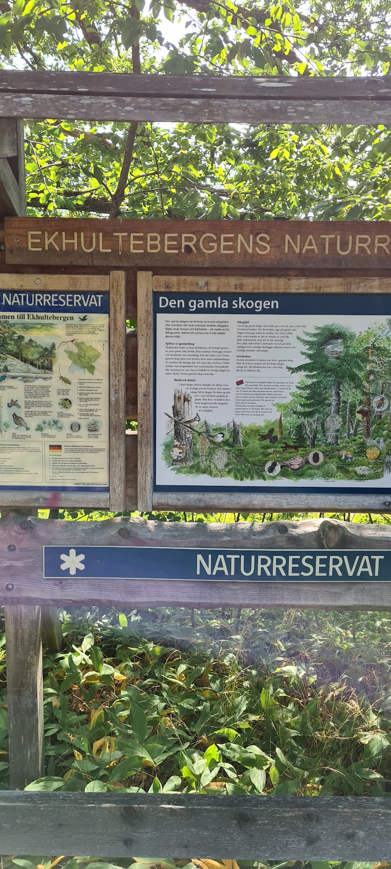 Ekhultebergens naturreservat