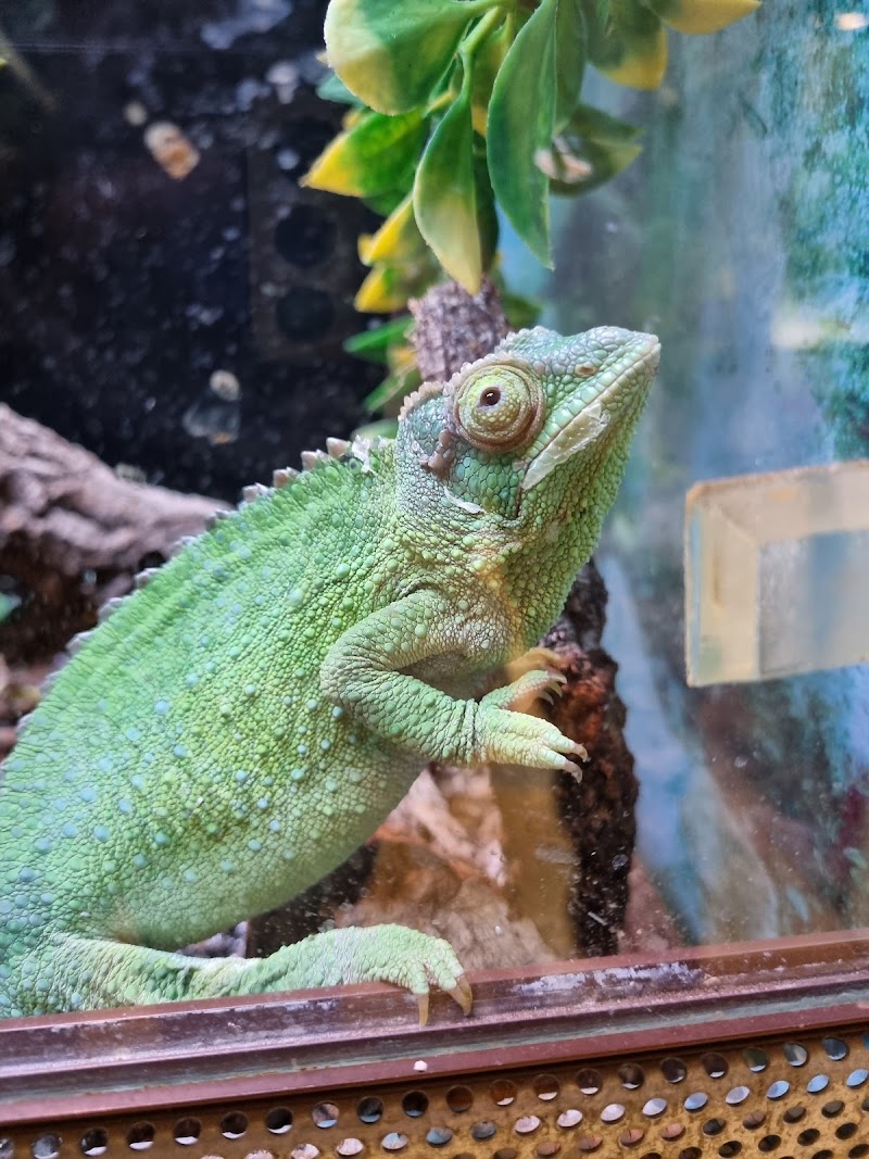Tropical Rooms Zoology