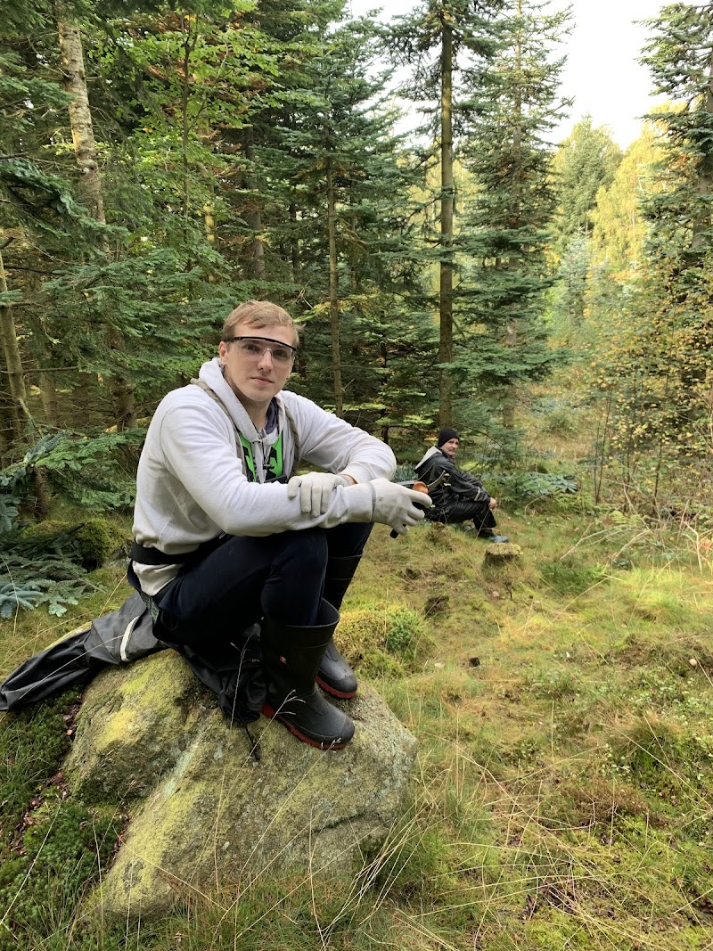 Haralds ängar