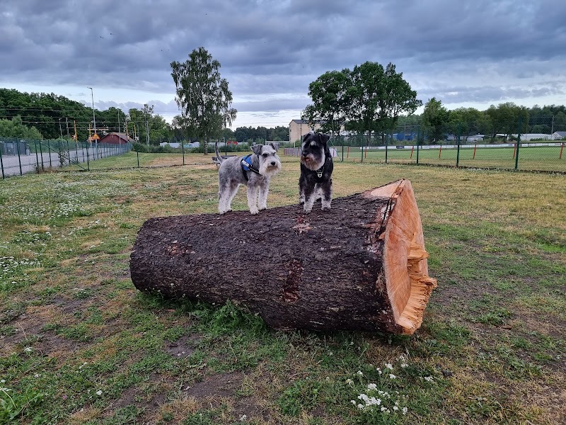 Runevallen hundpark