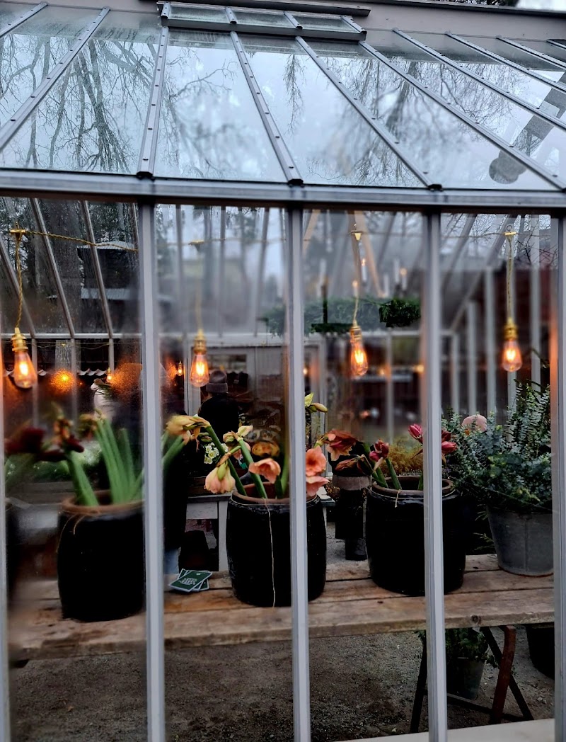 Zetas Garden