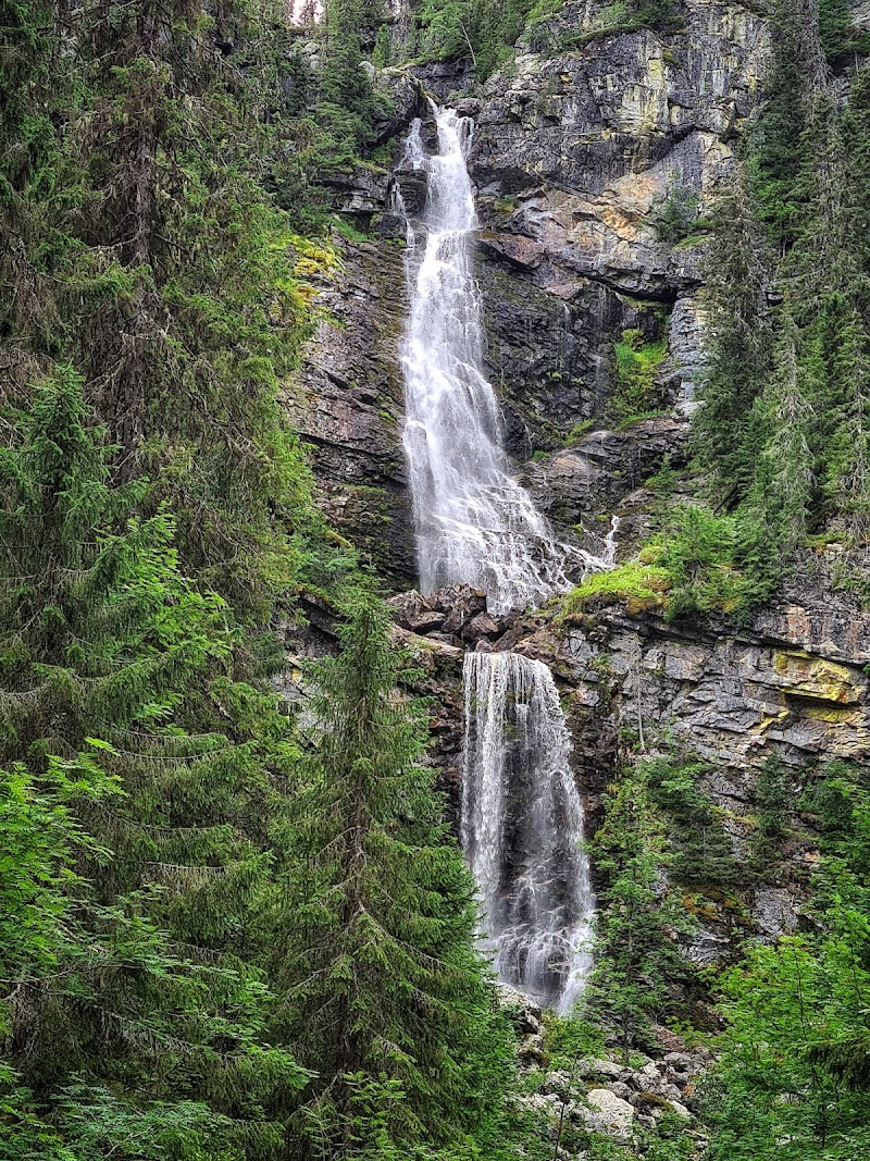 Fettjeåfallet