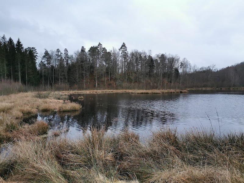 Rättelövs våtmark