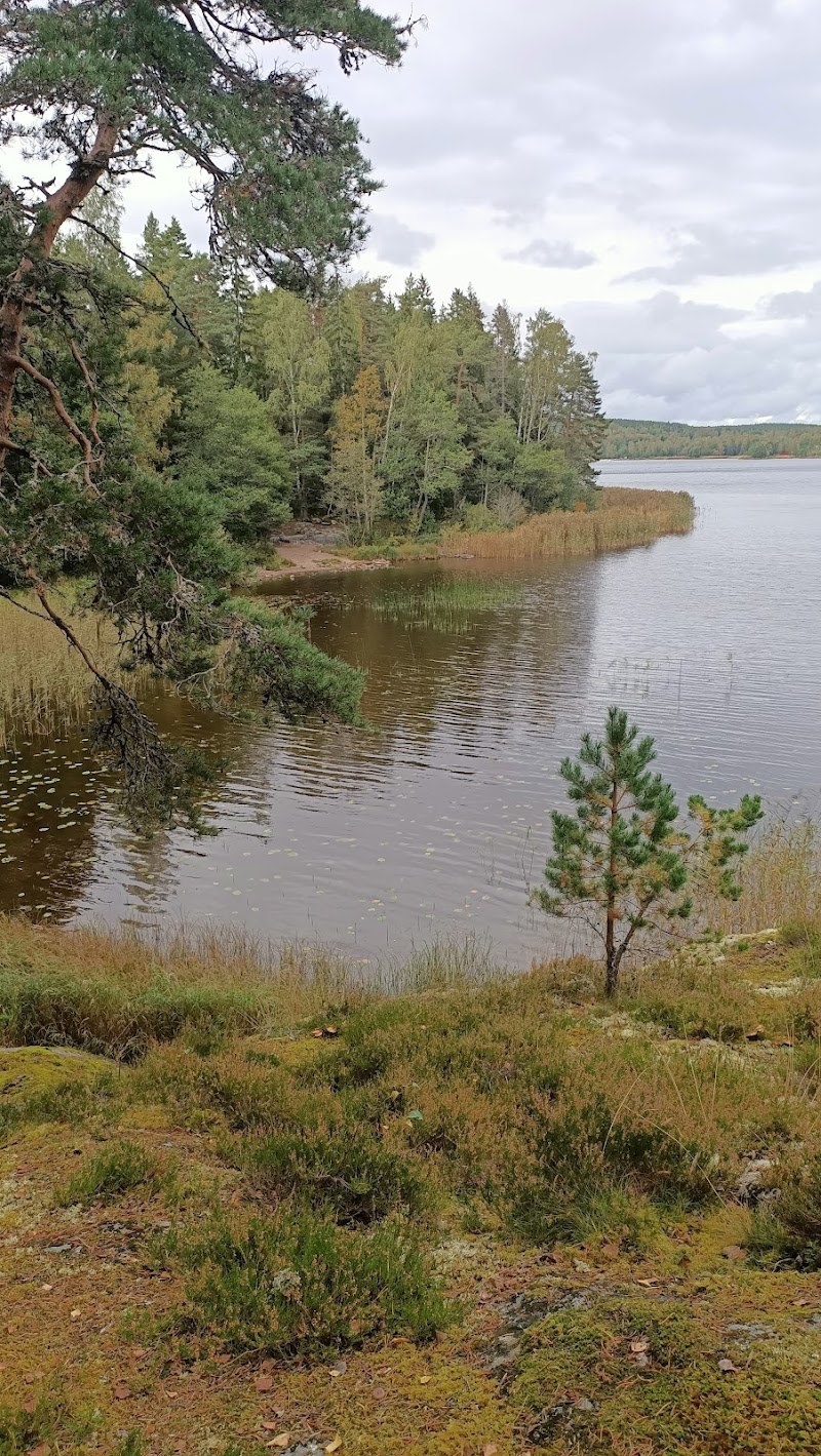 Bergs klätt