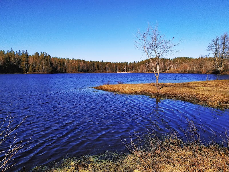 Ettö
