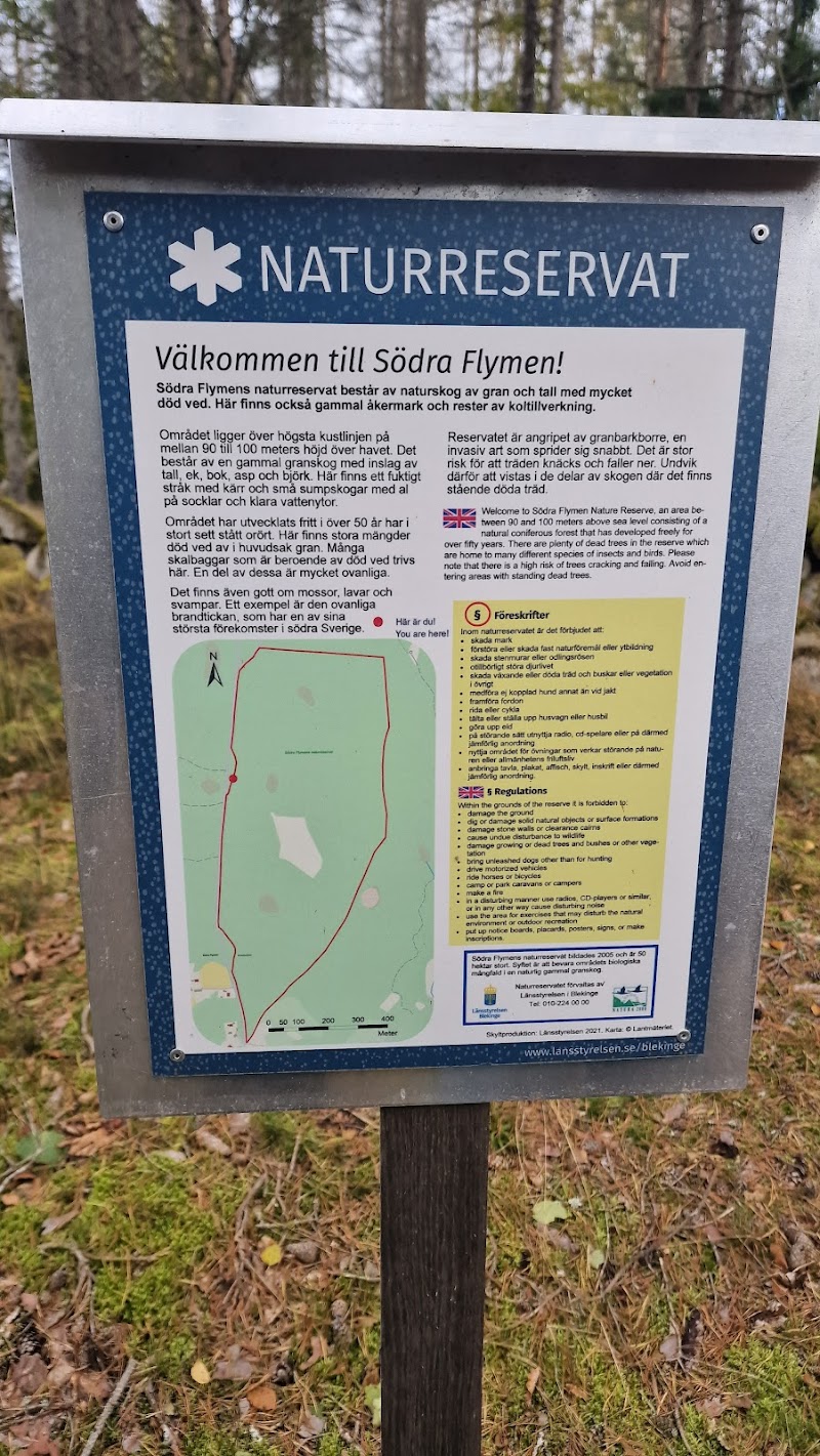 Södra Flymen