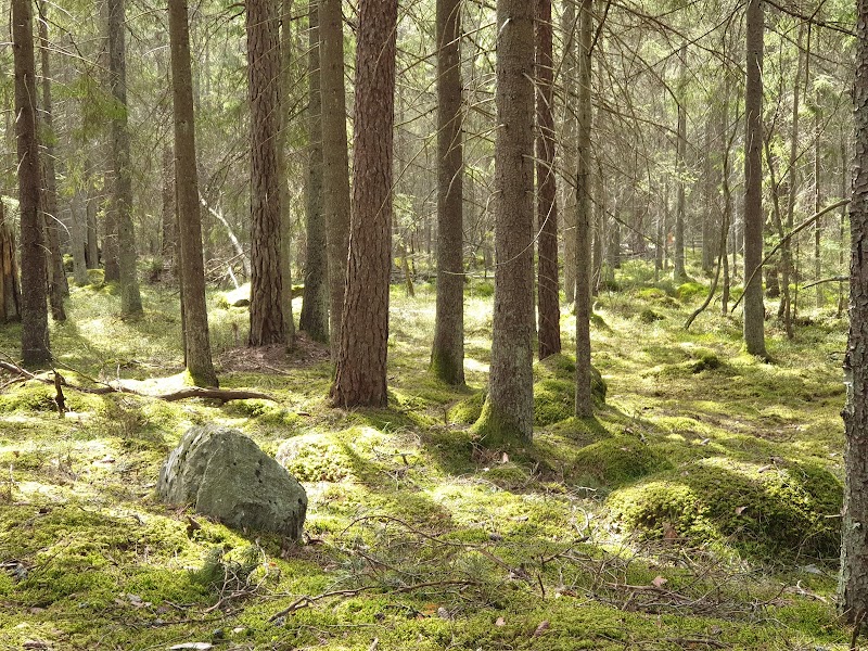 Åvinge naturreservat