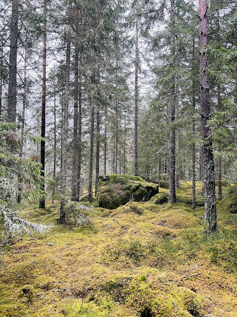 Stora och Lilla Fly