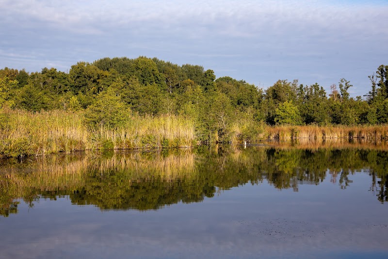 Ekebysjöns naturreservat