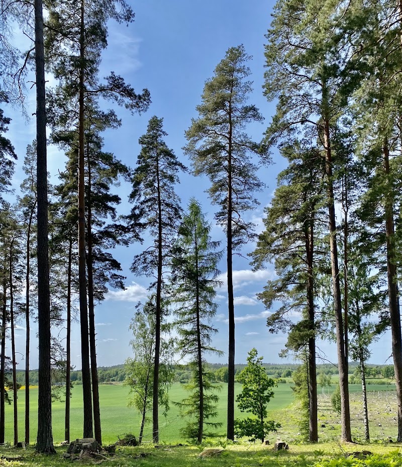 Prinskullen