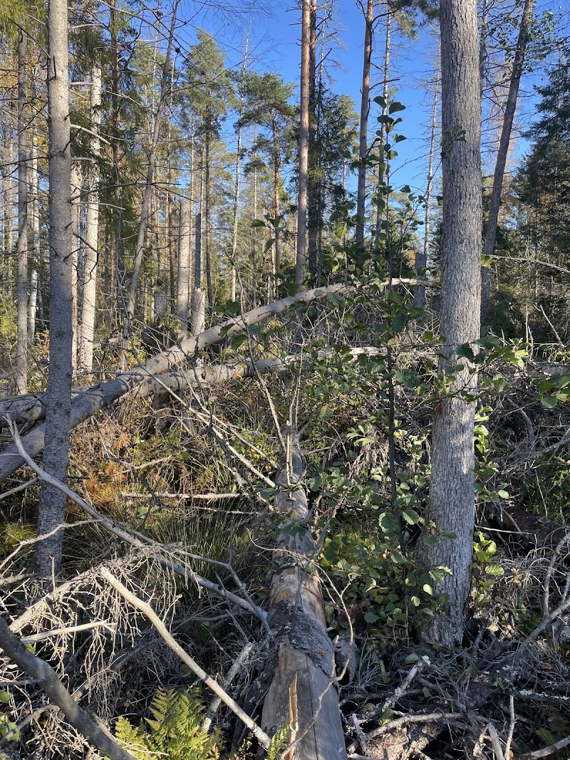 Ekeby naturreservat