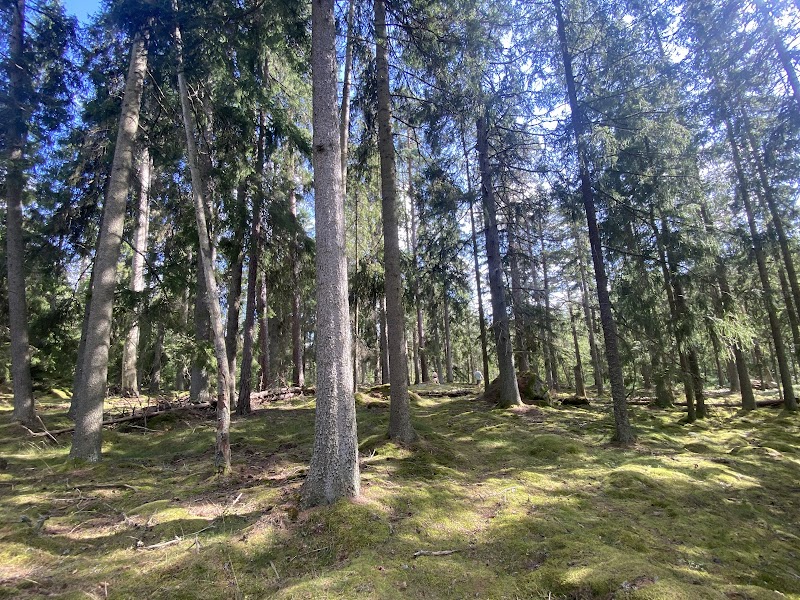 Värö naturreservat