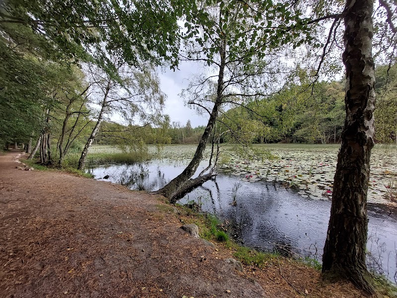 Mölle Mosse