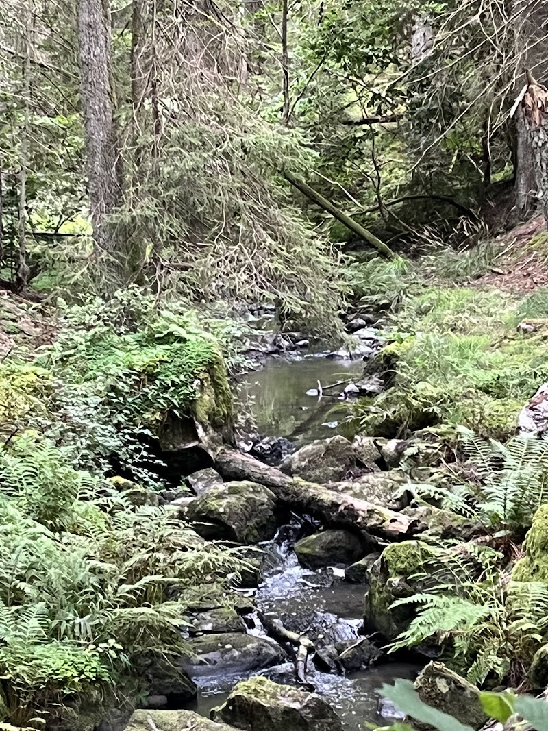 Brinkbäckens Naturreservat