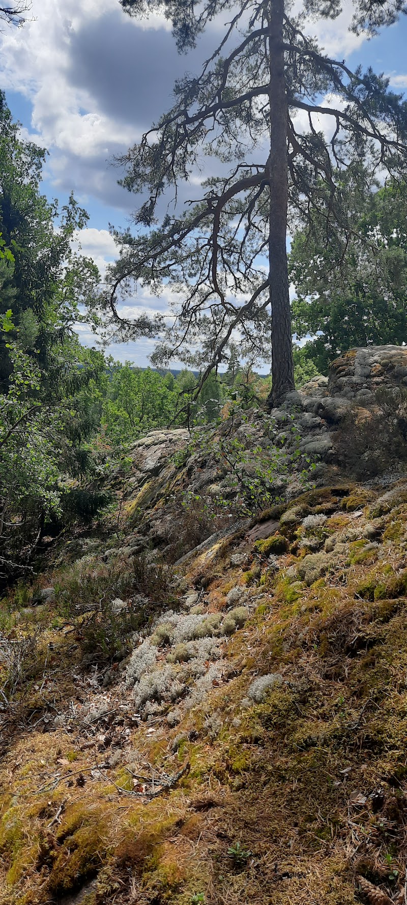 Dyhult (naturreservat)