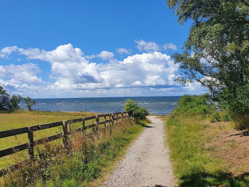 Strandhusens revlar