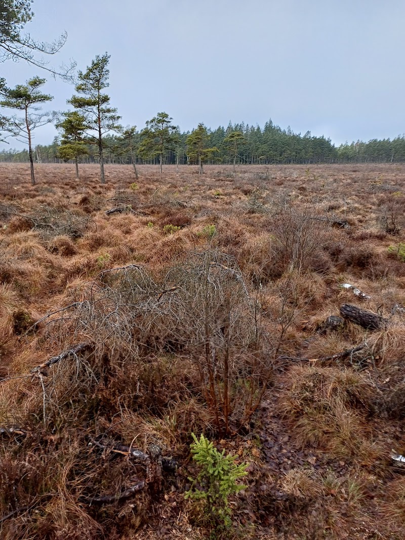 Vyssle- och Västermyr