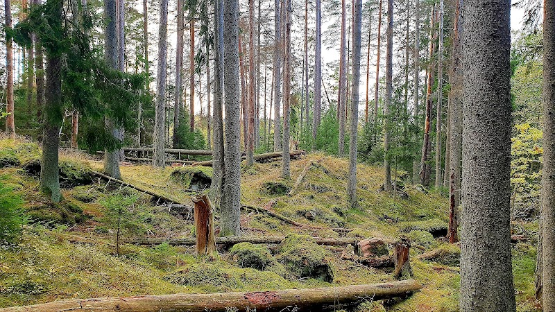 Säby Västerskog