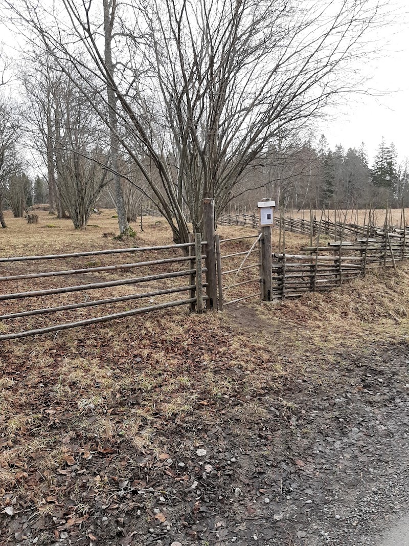 Hörningsnäs naturreservat