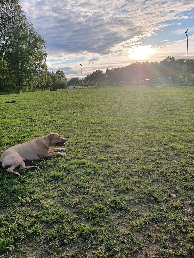 Lundaängens Hundrastgård