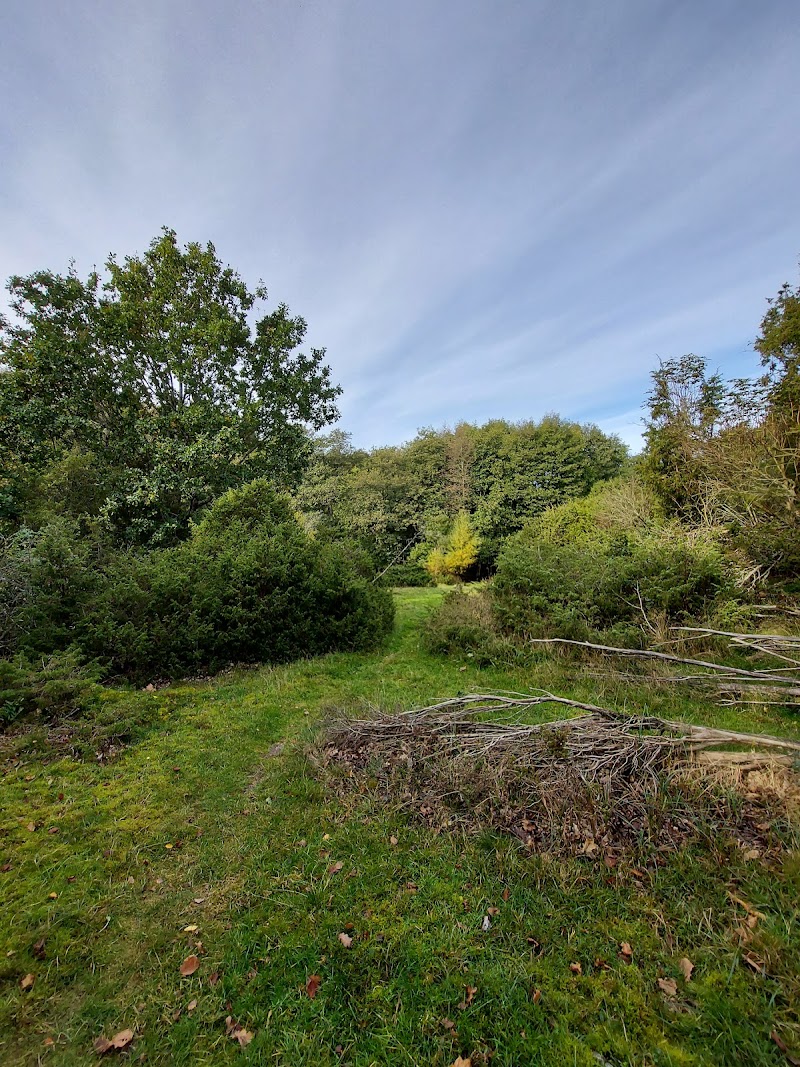 Naturreservat