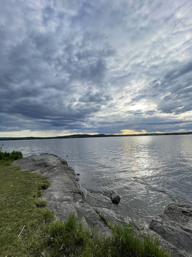 Viksholmen