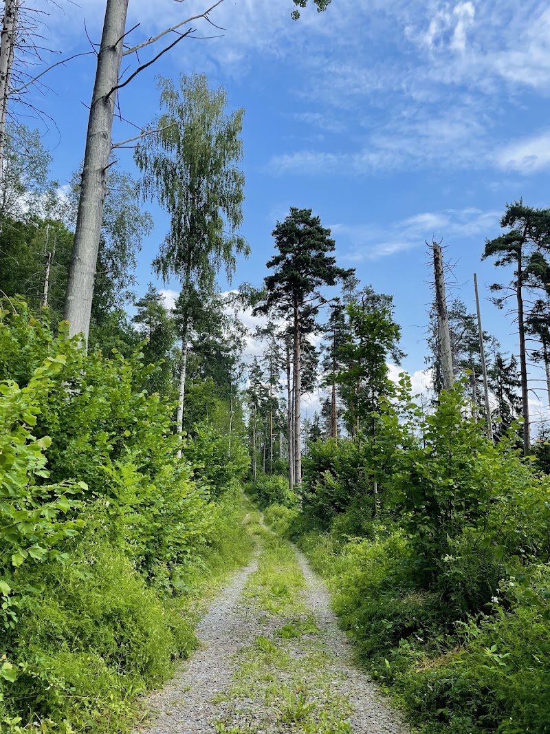 Årbolsfjället