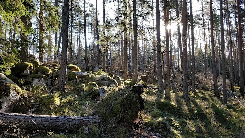 Styggkärrets naturreservat