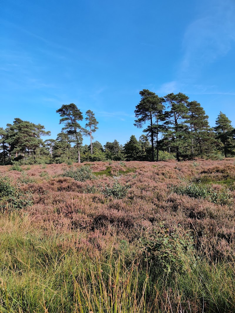 Naturreservat